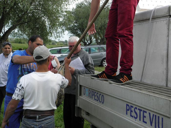 P5230210 - PESCUIT 2014