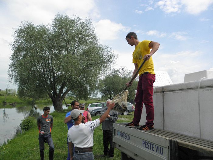 P5230219 - PESCUIT 2014