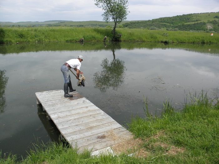 P5230220 - PESCUIT 2014