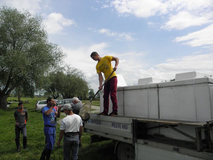 23.05.2014 - PESCUIT 2014