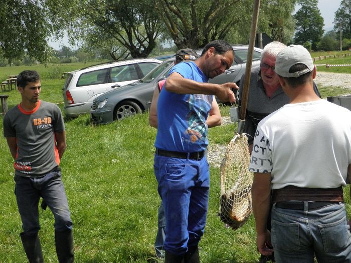 23.05.2014 - PESCUIT 2014