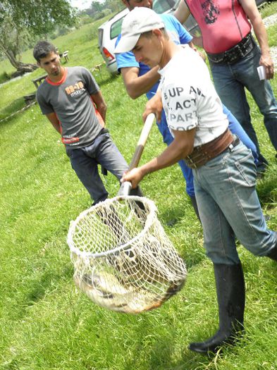 23.05.2014 - PESCUIT 2014