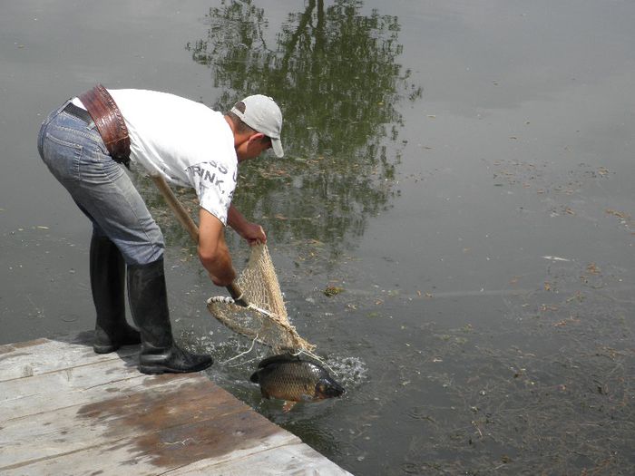 P5230224 - PESCUIT 2014