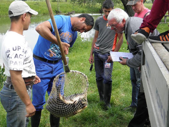 P5230228 - PESCUIT 2014