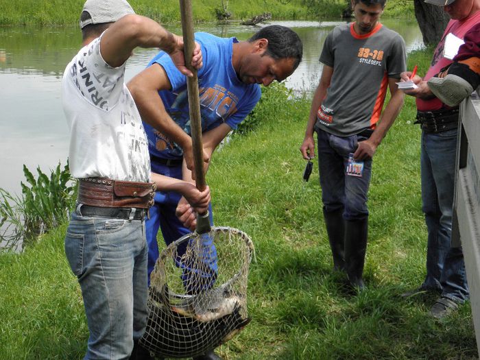 P5230229 - PESCUIT 2014