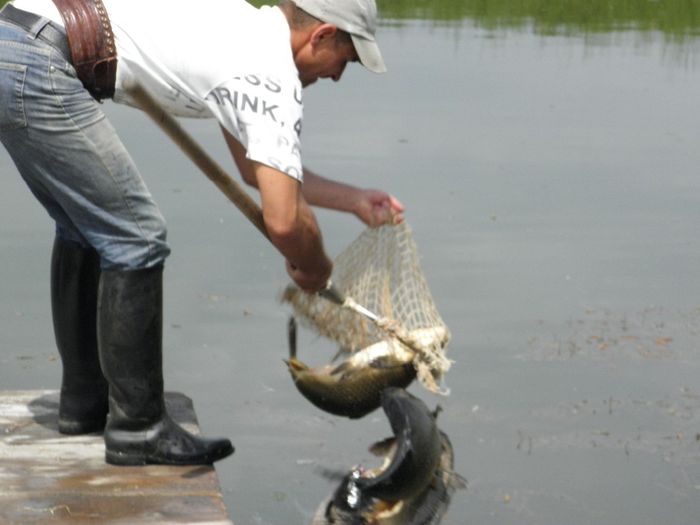 P5230231 - PESCUIT 2014