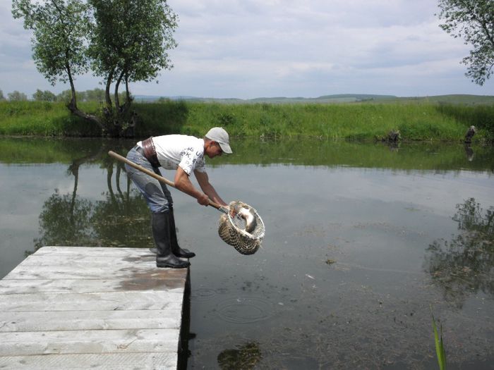 23.05.2014 - PESCUIT 2014