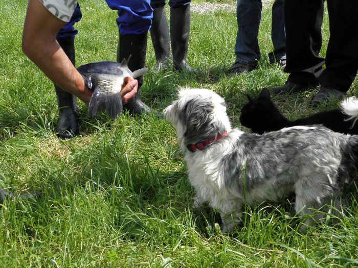 P5230243 - PESCUIT 2014