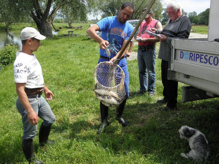 23.05.2014 - PESCUIT 2014