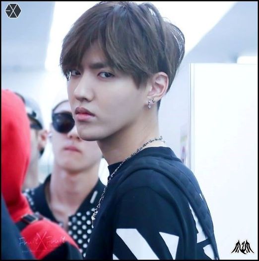 140414 Kris @ Tokyo Haneda & Gimpo Intl Airport.001 - exo - 140414 Kris - Tokyo Haneda - Gimpo Intl Airport