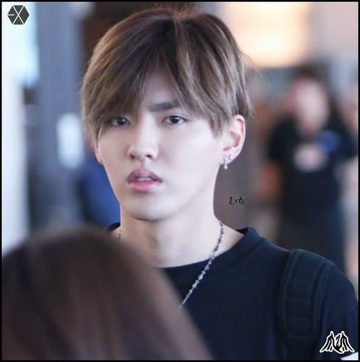 140414 Kris @ Tokyo Haneda & Gimpo Intl Airport.014 - exo - 140414 Kris - Tokyo Haneda - Gimpo Intl Airport