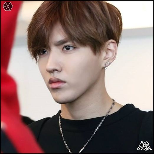 140414 Kris @ Tokyo Haneda & Gimpo Intl Airport.024 - exo - 140414 Kris - Tokyo Haneda - Gimpo Intl Airport