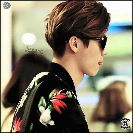 .Han| ..Ma simt bine ca am imbratisat asa o pufosenie. :3 ..[o ciupeste de obraz; desc]; Minwoo~ tu ce faci? :)) ..[da mana cu el]
