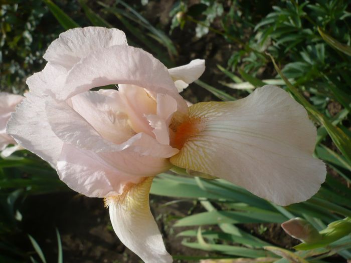 P1200473