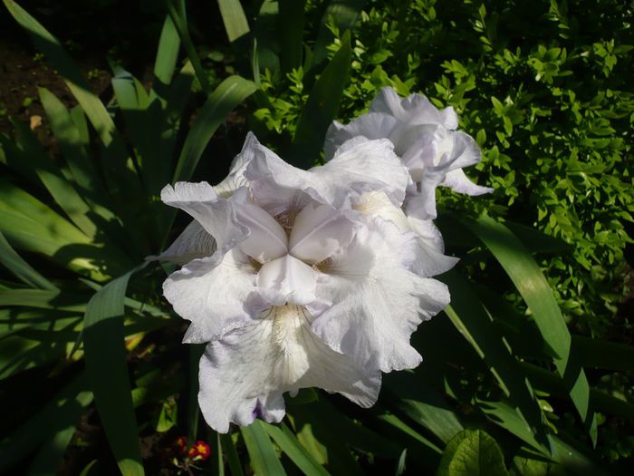 P1200496