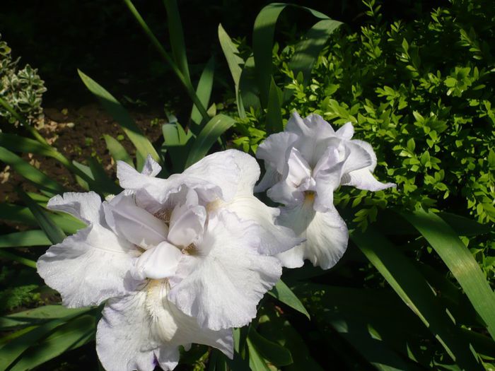 P1200497