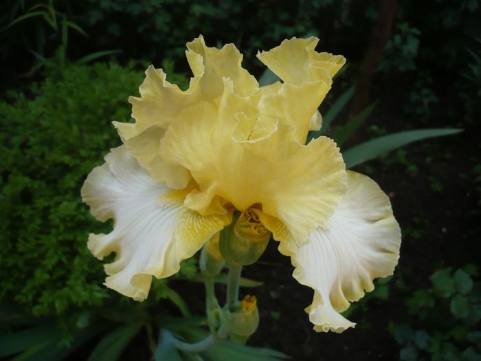 P1200512