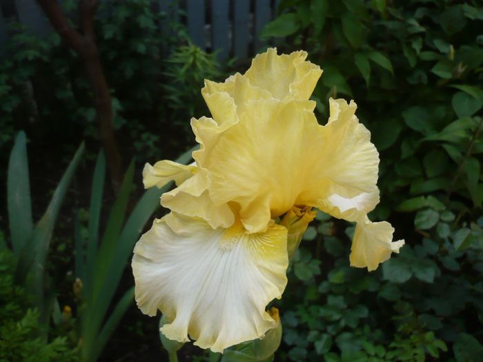 P1200513