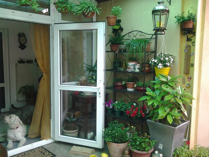 20140523_161805 - 1mai