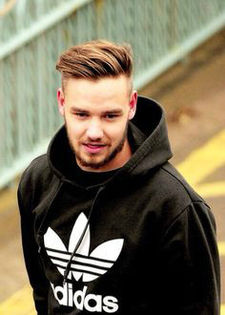 ♥I♥Love♥It♥ - l - o Facts about Liam Payne