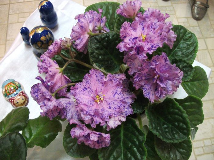 DSCF5697