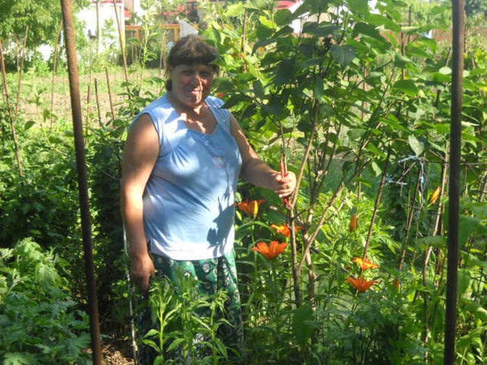 Picture 3035 - Florile mele si obiecte de artizanat