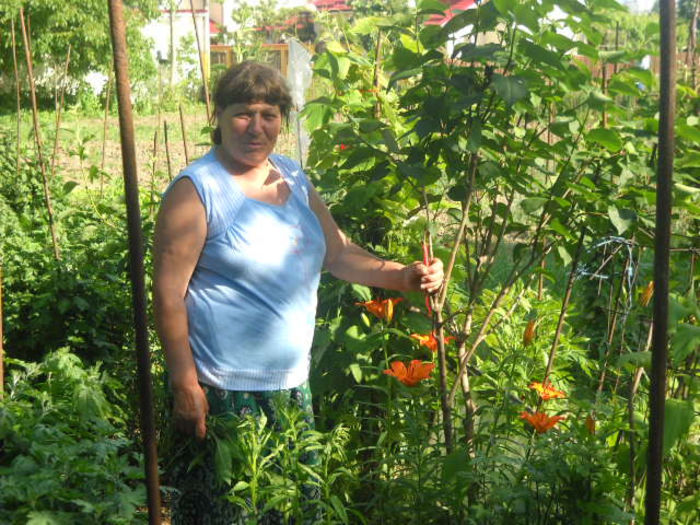 Picture 3036 - Florile mele si obiecte de artizanat