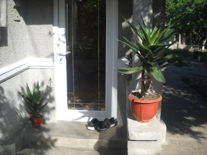 Picture 3057 - Florile mele si obiecte de artizanat