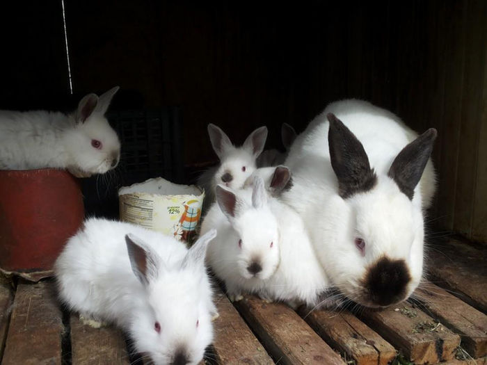 10009277_4014922427438_6967772930335749212_n - din o3 2014