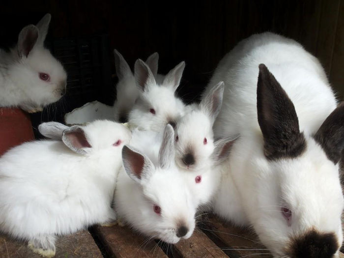 10171288_4014922227433_3885679361190869804_n - din o3 2014