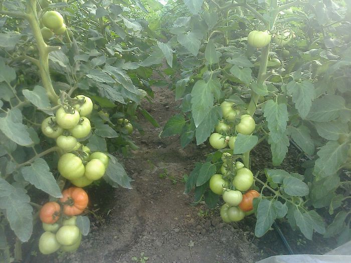 photo0257