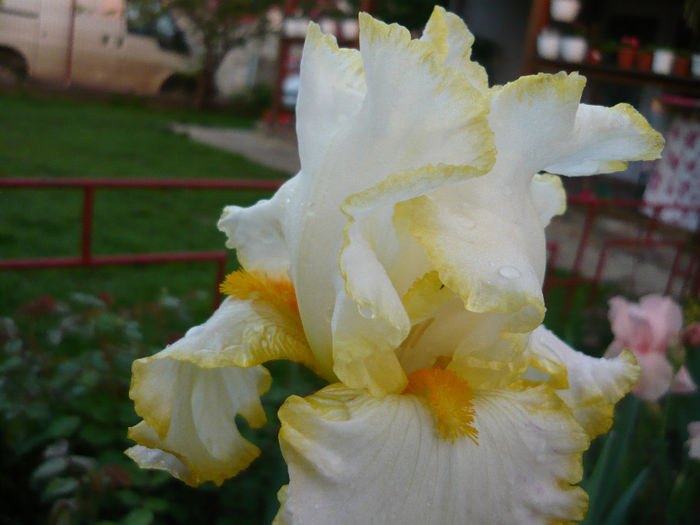 P1060383