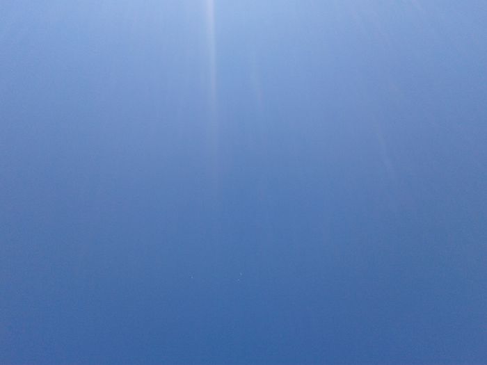 2014-05-25 10.04.25; galateni pui 2014 la zbor
