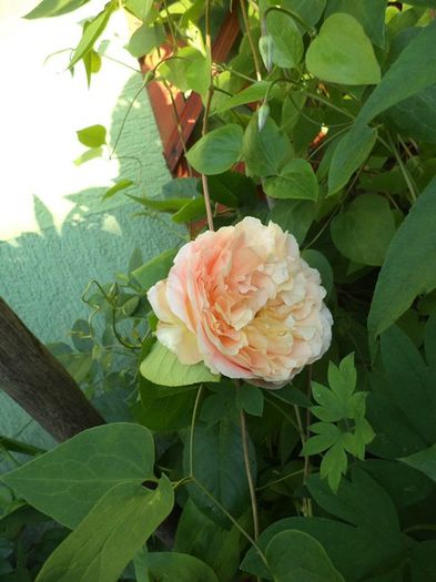 057