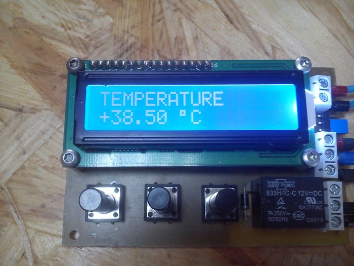 DSC_1676 - 1 - Termostat incubator