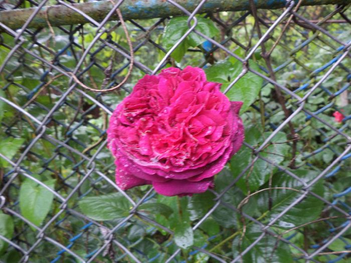 DSC02330