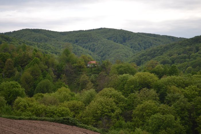 DSC_0060