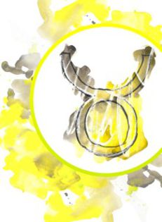 Immature - taur - Tu spui zodia eu pun poza --- joculet