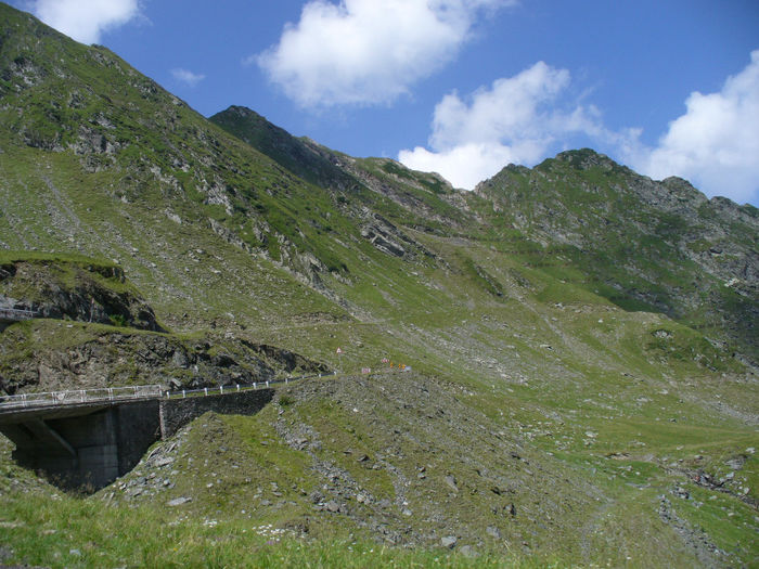 P1060751 - Vacanta Fagaras