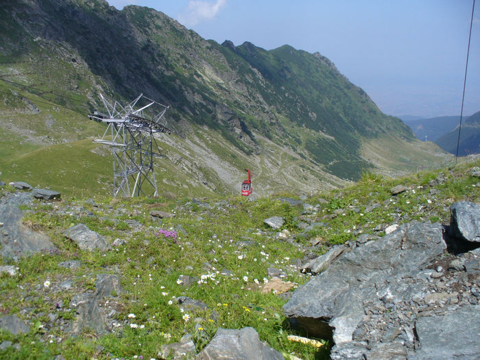 P1060768 - Vacanta Fagaras