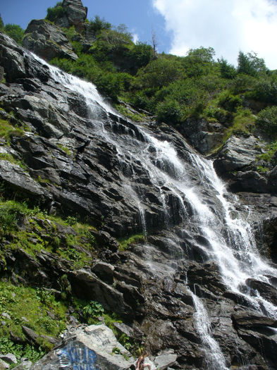 P1060861 - Vacanta Fagaras