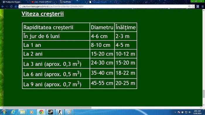 Paulownia; Crestere!
