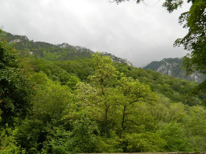 DSCN9362