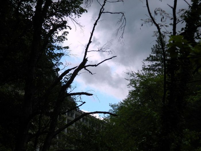 DSCN9364