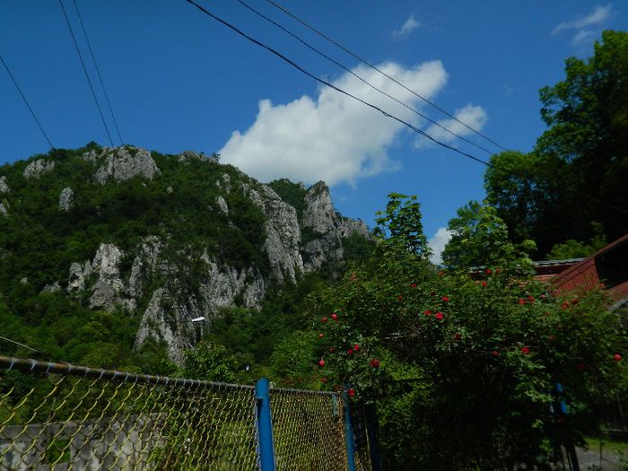 DSCN9460 - HERCULANE_MAI_2014