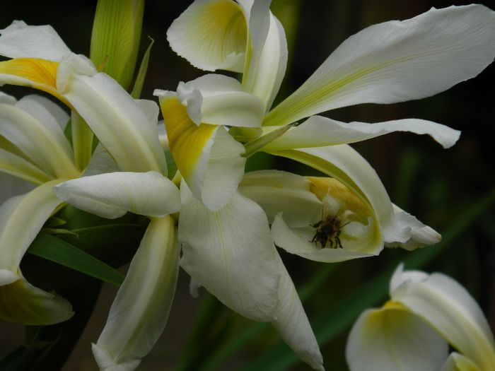 DSCN9182 - MAI_2_2014