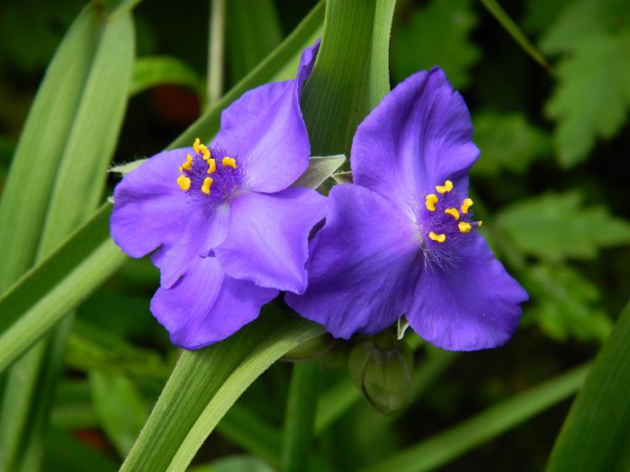 DSCN9195 - MAI_2_2014