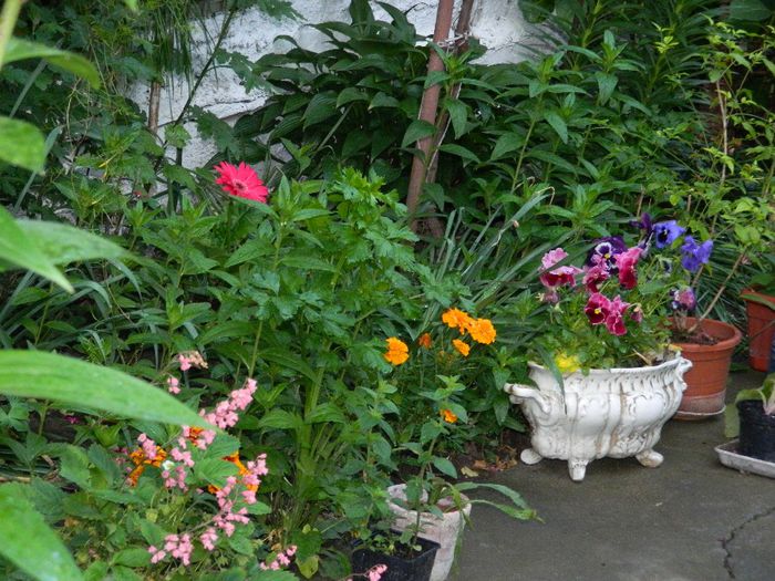 DSCN9244 - MAI_2_2014