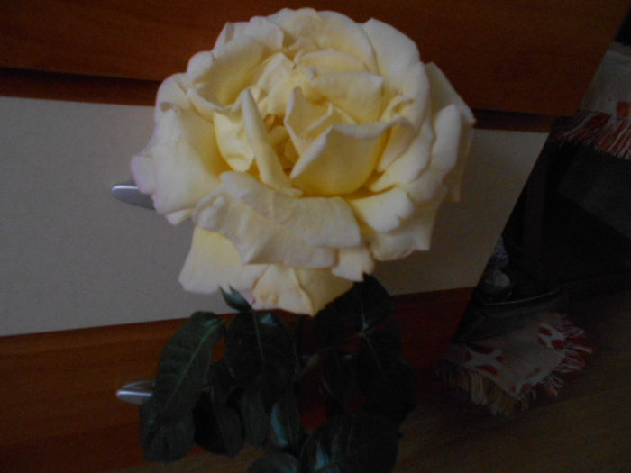 25 mai 2014 103