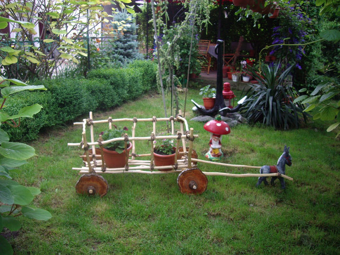 IMGP6447 - flori si trandafiri  - 2014